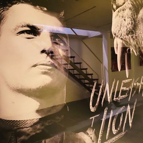 Tamara Sneep Max Verstappen Unleash the lion