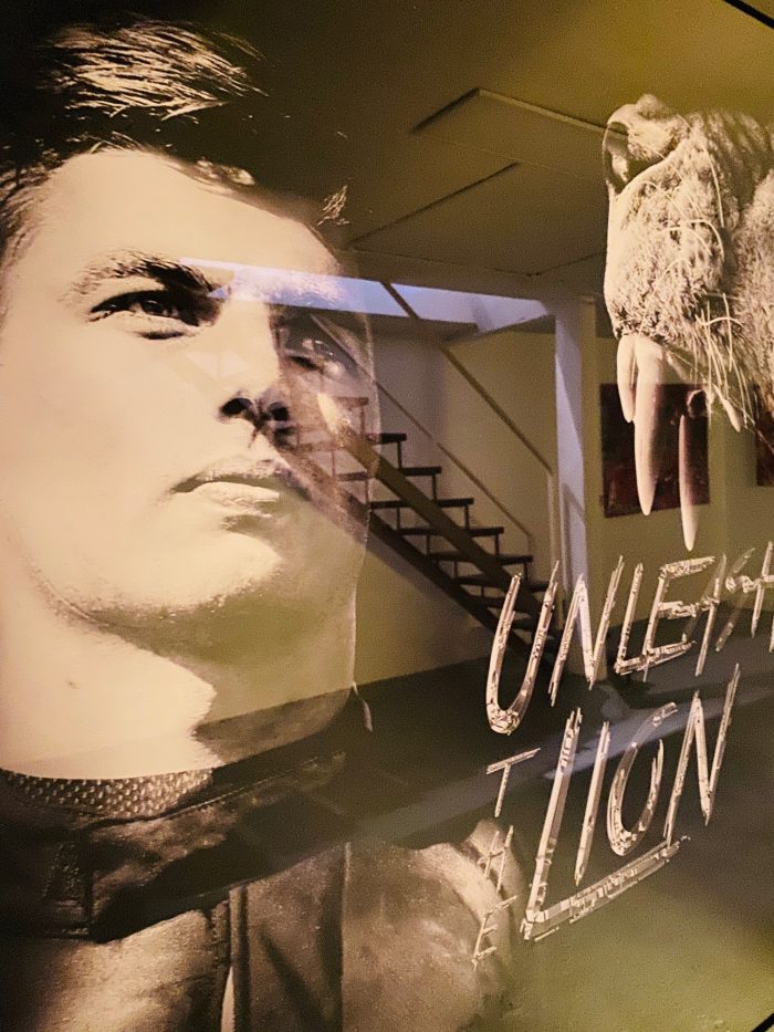 Tamara Sneep Max Verstappen Unleash the lion