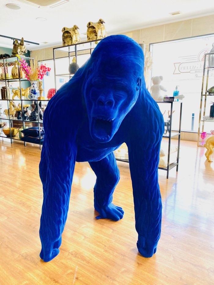 Tamara Sneep Blue gorilla